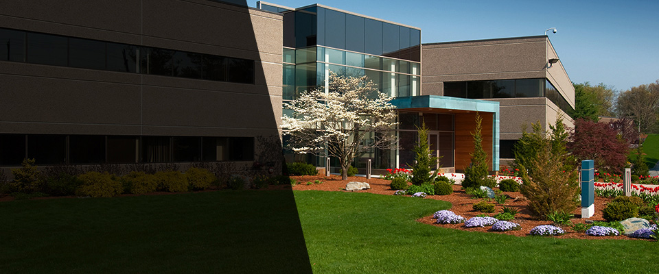 Willits Landscapers
