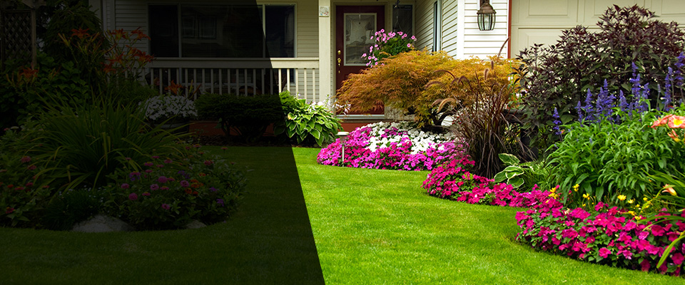 Willits Landscapers