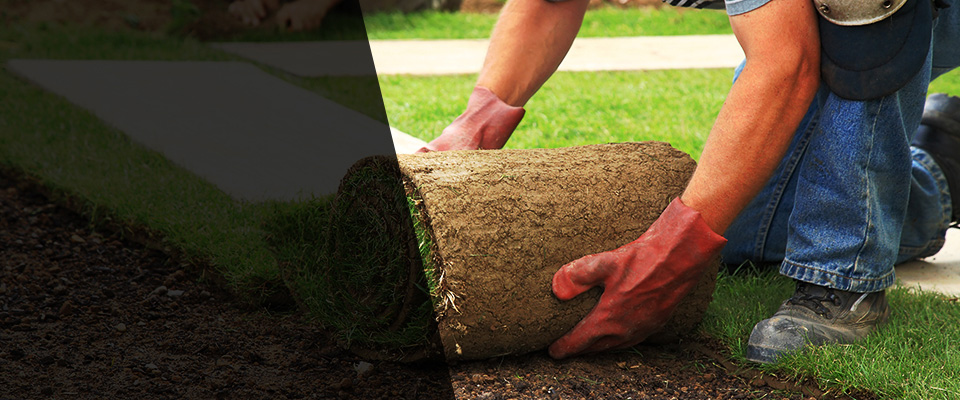 Willits Landscapers